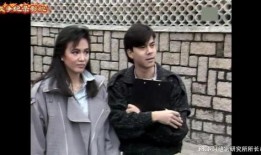 流氓大亨全集在线观看,全集在线观看，揭秘黑帮风云传奇